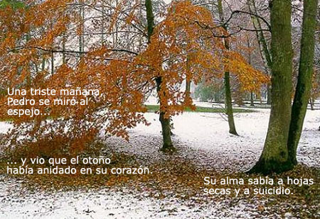 PPS2 copiar.jpg